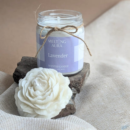 Lavender bloom